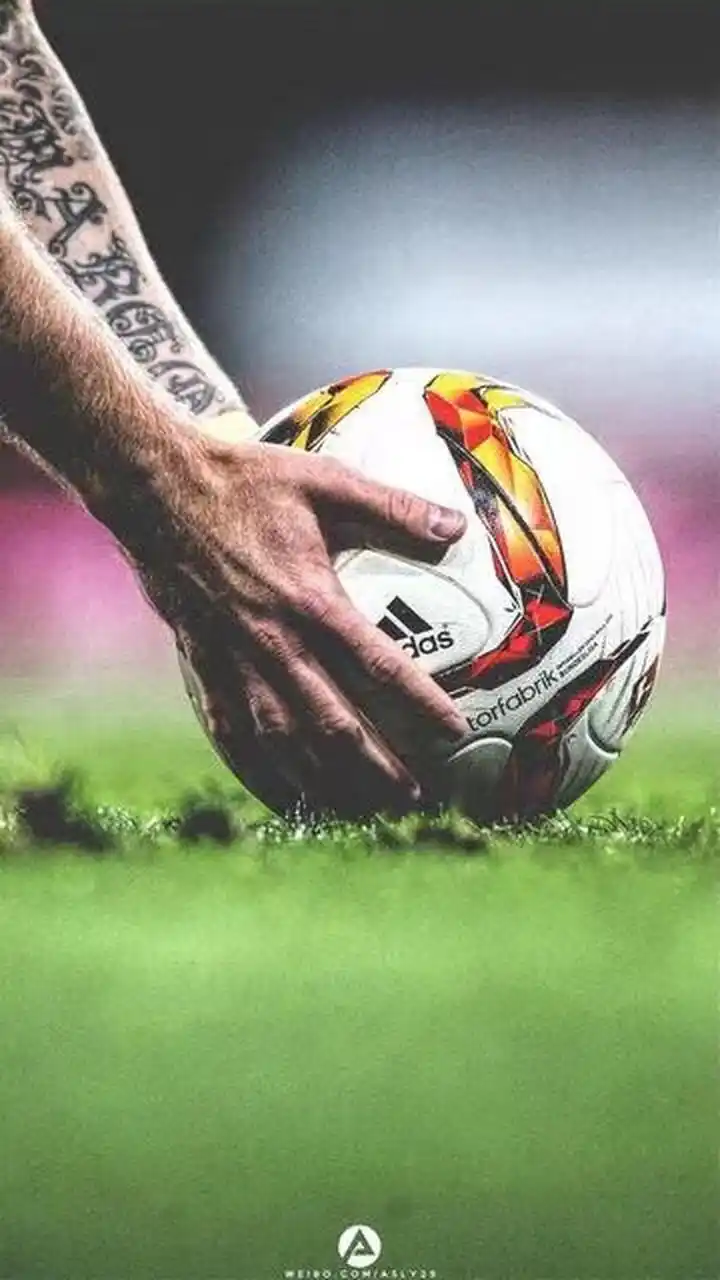 理解球迷的 理解球迷的